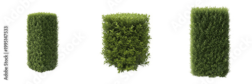Schilderij op canvas Set of Long Rectangular Garden Hedge Isolated on White Background, PNG
