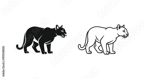 Black Panther vs White Mountain Lion: Big Cat Comparison Guide Vector