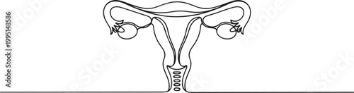 Womans uterus one line art minimalist reproductive organ. one line art icon drawing vector
