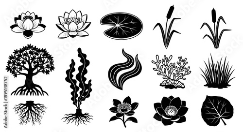 Aquatic Plants Flowers and Botanical Elements