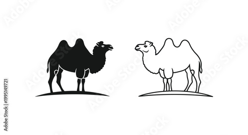 Camel Illustrations: Unique Black & White Art Designs Vector
