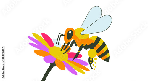 Bee pollinating a colorful flower illustration isolated on white background