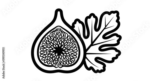 Black and white illustration of a fig fruit with leaf on white background