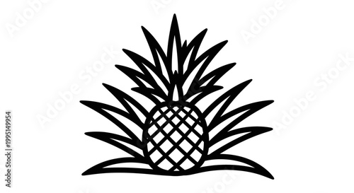 Black and white pineapple illustration on white background isolated for design