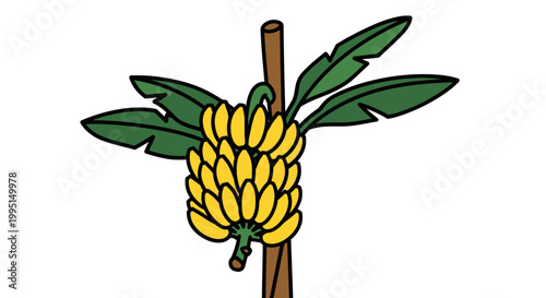 Cartoon banana bunch with leaves vector illustration on white background