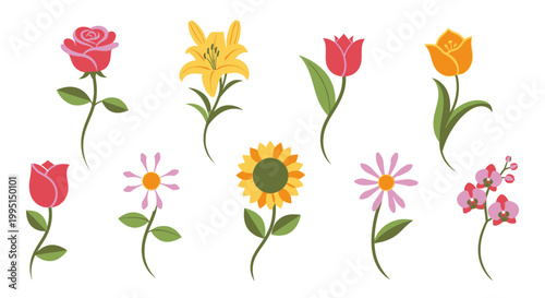 Colorful flower collection various floral illustrations for design and decoration
