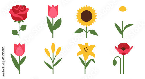 Colorful illustrated flowers collection isolated on white background