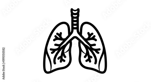 Medical illustration of human lungs outline for educational health concepts