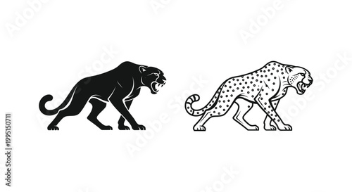 Wild Cats Comparison: Leopard vs Jaguar Vector