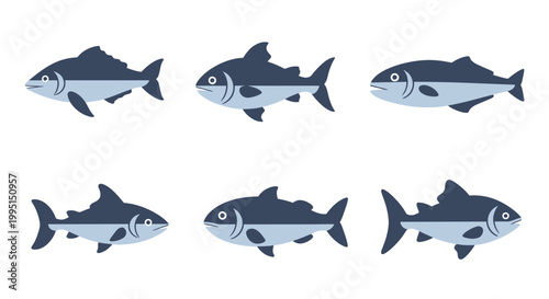 Stylized illustrations of various fish in a simple flat design style
