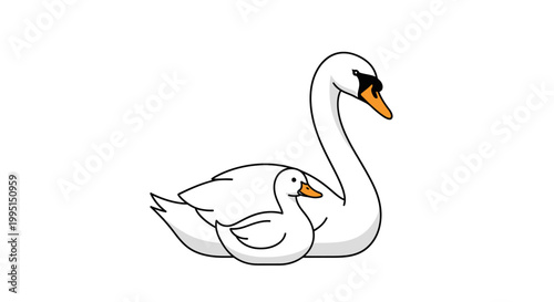 Swan and duckling illustration white background isolated vector art