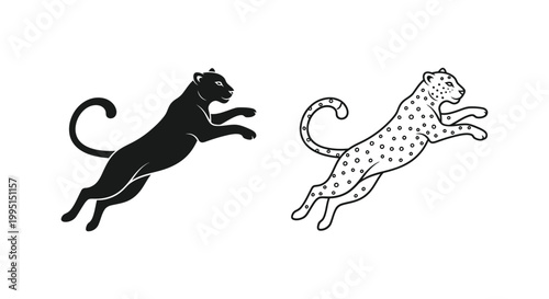 Leaping Cats: Black Panther vs Cheetah Design Art Vector