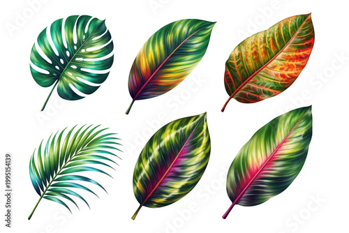Set of six tropical leaves, monstera, palm, and banana leaves, with vibrant green, red, and yellow colors, isolated on transparent background