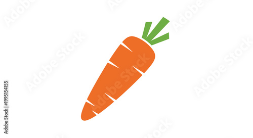 Fresh Orange Carrot with Green Top.