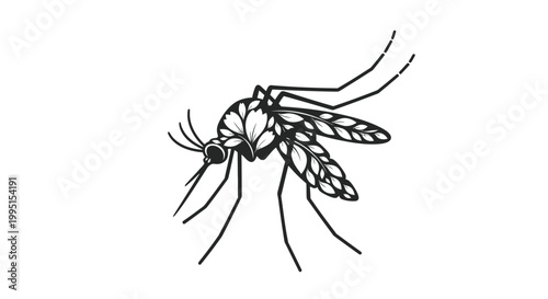 Black and White Illustration of Mosquito.