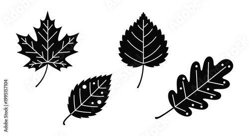 Four detailed leaf shapes presented as a striking black silhouette