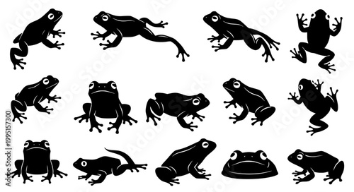 Frog Silhouette Collection Wildlife Amphibian Animal Vector Illustration Set