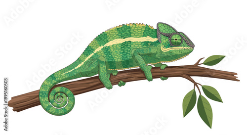Green chameleon perched on a branch with leaves