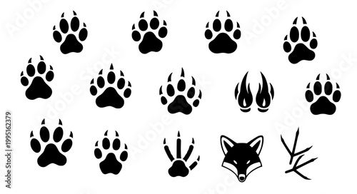 Animal Footprint Silhouette Vector Set Paw Print Wildlife Illustration Collection
