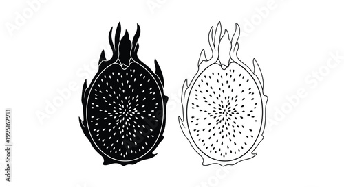 Two dragon fruit halves one dark and one light in silhouette