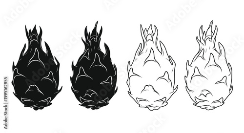 Four dragon fruit illustrations with varying tones a striking silhouette