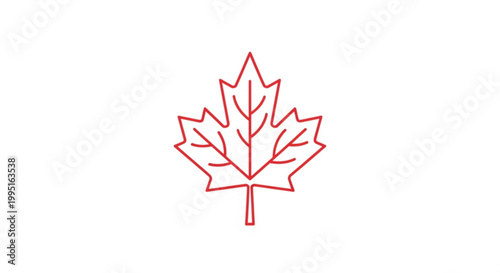 Stylized red maple leaf line art illustration with clean contours