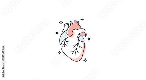 Anatomical human heart illustration with sparkles flat vector design