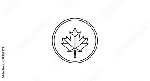 Maple leaf inside a circular frame as a clean line art vector icon