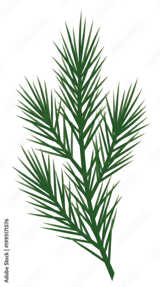 Obraz premium Green Pine Branch Isolated White Background