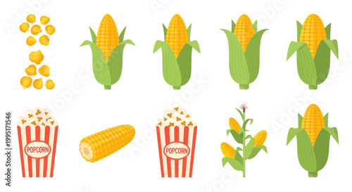 Corn and Popcorn Collection: Kernels, Cobs, Stalks, and Snacks