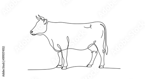 Continuous Line Drawing of a Cow Standing - Minimalist Farm Animal Art