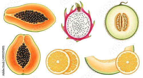 Tropical fruit set with papaya dragon fruit melon and orange slices