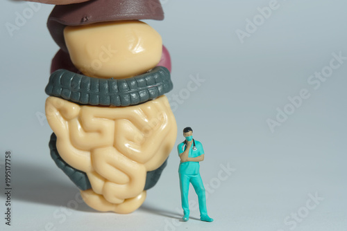 Miniature people toy figure photography. A men doctor or nurse thinking while standing in front of digestive organs. Isolated grey background