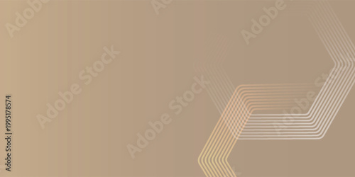 Abstract geometric lines and shapes creating a modern design.
