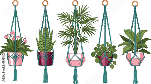 Vector Illustration of Five Hanging Potted Plants in Macramé Holders Featuring Different Greenery and Flowers for Home Decor, Indoor Garden, Plant Lovers, and Digital Designs