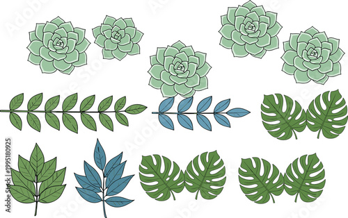 Hand drawn fruits and leaves collection with grapes, banana, tropical foliage and floral elements, botanical vector illustration set for nature and food design