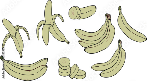 Banana fruit set with whole peeled sliced and bunch variations in hand drawn style for food vector illustration collection design