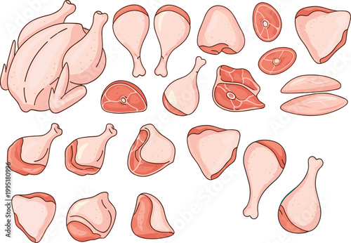 Chicken meat cuts collection raw and cooked poultry pieces set butcher diagram food vector illustration isolated