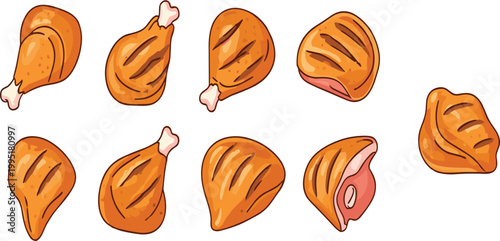 Chicken meat cuts collection raw and cooked poultry pieces set butcher diagram food vector illustration isolated