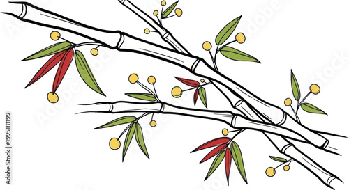 Stylized Bamboo Branch with Leaves and Berries - Minimalist Illustration
