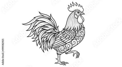 Ornate Rooster Line Art - Decorative Bird Illustration