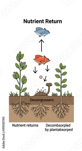 Slika na platnu Illustration of the nutrient return cycle in an ecosystem, showing decomposers breaking down organic matter for plant and animal uptake