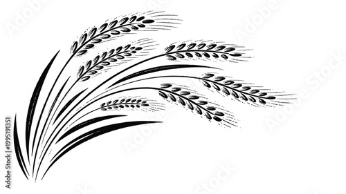Black and white wheat stalks graphic with agriculture botanical illustration monochrome decoration