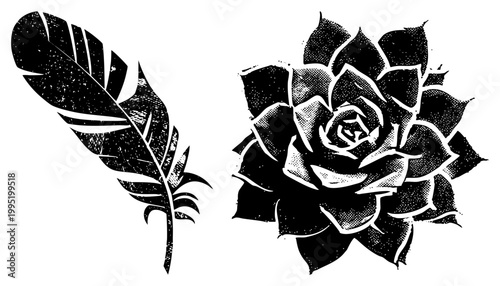 Stylized botanical illustration featuring avian plume and bloom, feather design, rose silhouette, vintage engraving aesthetic, print art.