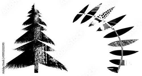 Graphic illustration of coniferous tree and fern leaf, stylized evergreen silhouette, textured botanical cutout, nature, flat design flora.