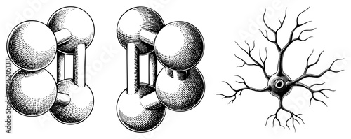 Vintage engraved diagrams of chemical compounds & nerve cells with hatching, ideal for education or retro science. Syn neuroanatomy sketch, molecular model.