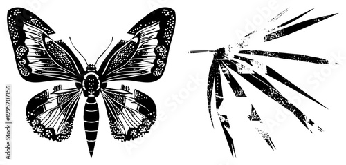 Stylized lepidopteran illustration with ornate wing, decorative insect art, graphic moth design, entomology motif, flat vector silhouette.