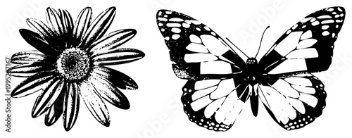 and insect graphic, daisy bloom with textured center, butterfly with wings, stylized nature art, vintage botanical cutout.