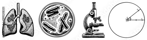 Anatomical lungs, bacterial colony in petri dish, compound microscope, geometric circle with radius标注 biomedical graphics for education or lab use.