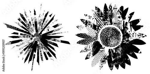 Stylized sunflower bloom and explosive radial, both rendered in high contrast black and white with halftone dot textures and distressed detailing ideal for edgy graphic design.